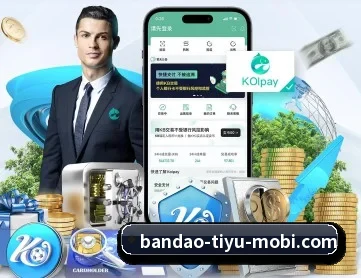 半岛体育 APP 深度功能